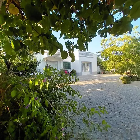 Casa #serjo Privatunterkunft