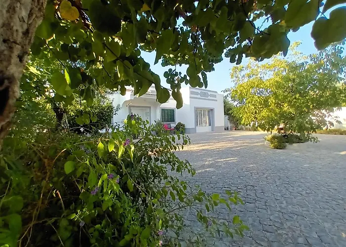 Casa #serjo Pansiyon