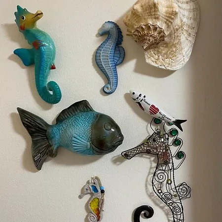 Casa #serjo São Brás de Alportel